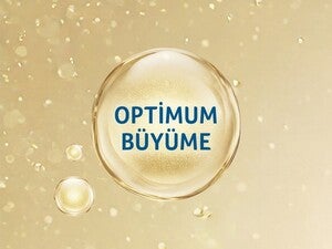 Optimum Büyüme